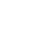mini white star icon